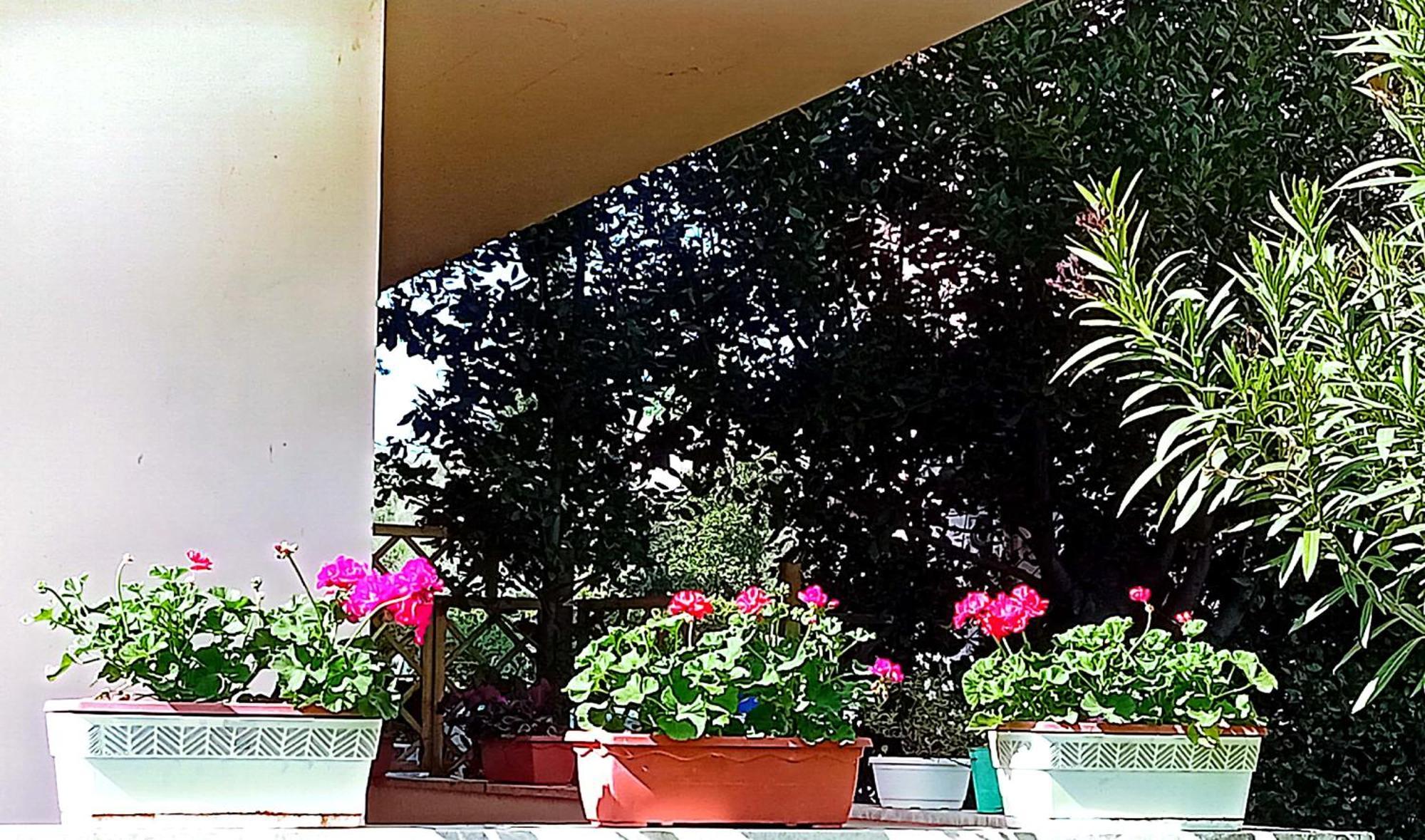 לינה וארוחת בוקר אסקולי פיצ'נו Il Giardino Del Sole מראה חיצוני תמונה